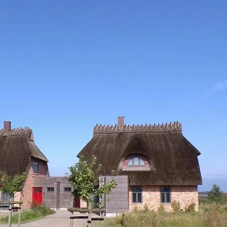 Reetdorf Geltinger Birk Malerhaus Torfstich Ferienhaus Nieby (Nieby, Schleswig-Flensburg)